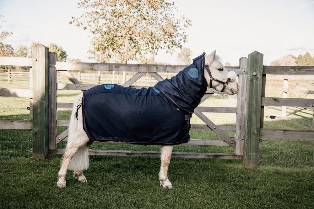 Magnetic Rug Recuptex