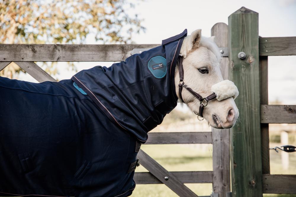 Magnetic Rug Recuptex