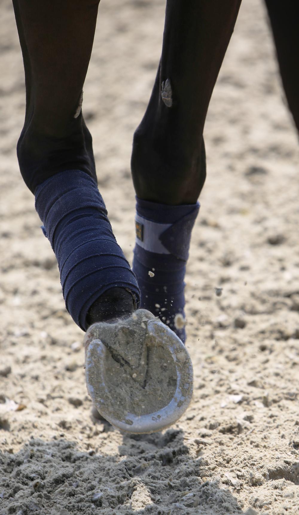 Fleecebandagen - Kentucky Horsewear