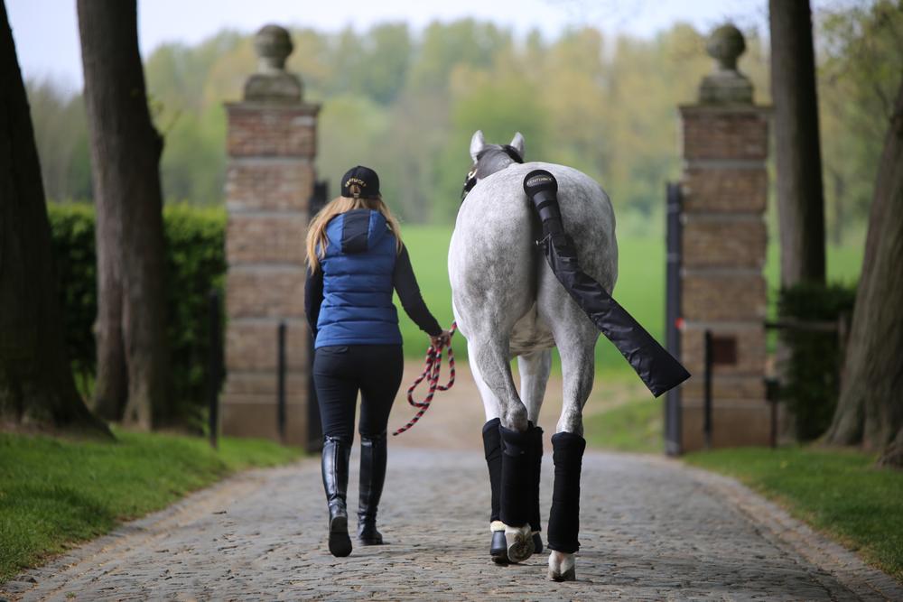 Stall Bandagierunterlagen - Kentucky Horsewear