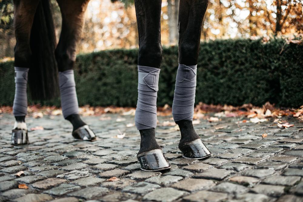 Fleecebandagen - Kentucky Horsewear