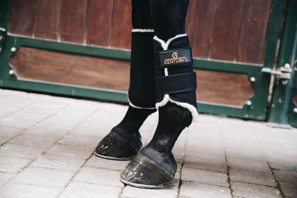 Brushing Boots Solimbra Front - Kentucky Horsewear