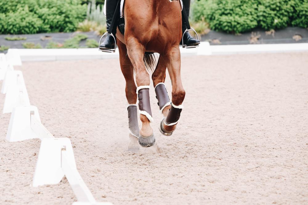 Brushing Boots Leather Front - Kentucky Horsewear