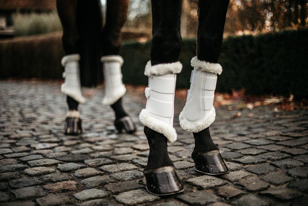 Brushing Boots Air - Kentucky Horsewear