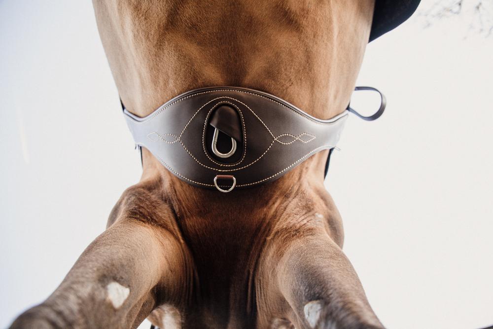 Anatomischer Gurt - Kentucky Horsewear