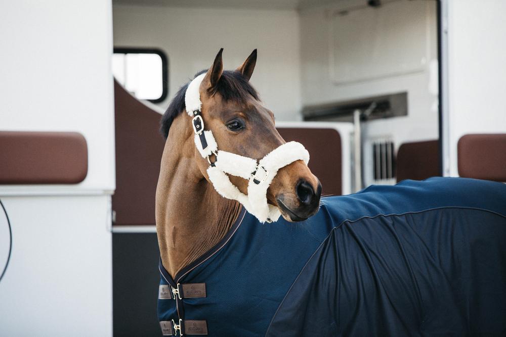 Lamfell Transport Halfter - Kentucky Horsewear