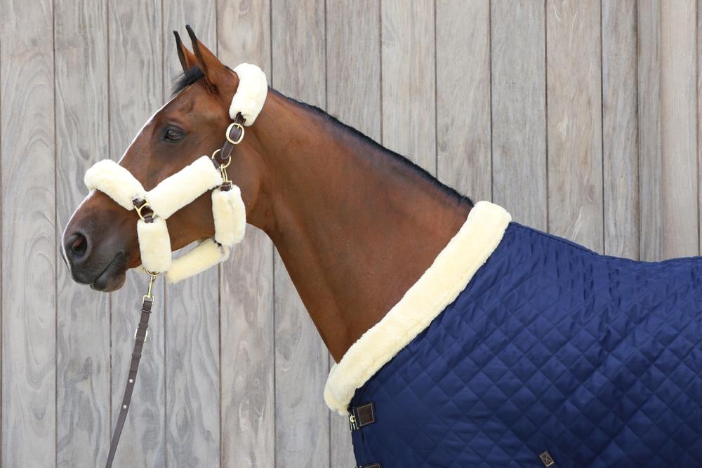 Führleine - Kentucky Horsewear