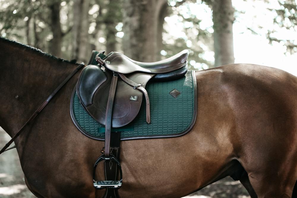 Schabracke Leder Color Edition Springen - Kentucky Horsewear