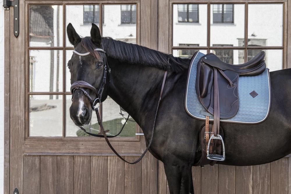 Schabracke Classic Leder Dressur - Kentucky Horsewear