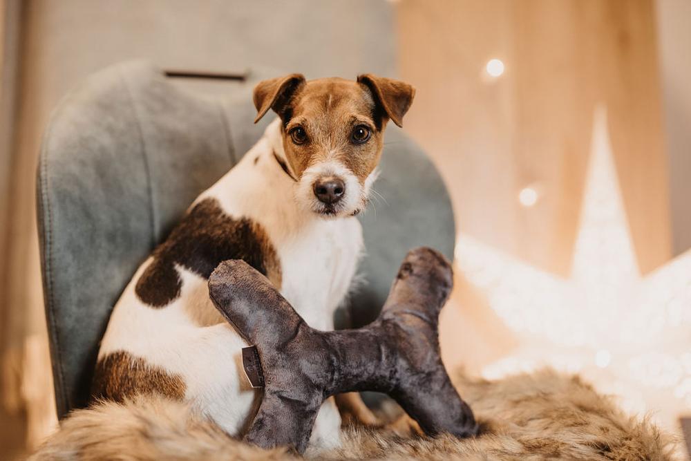 Hundespielzeug Bone