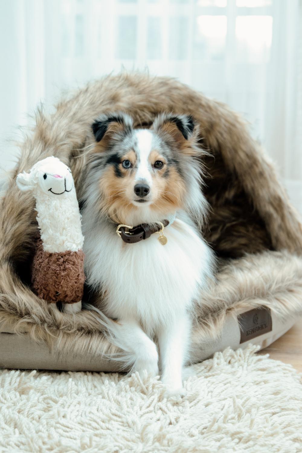 Hundesoftspielzeug Alpaka Alfredo