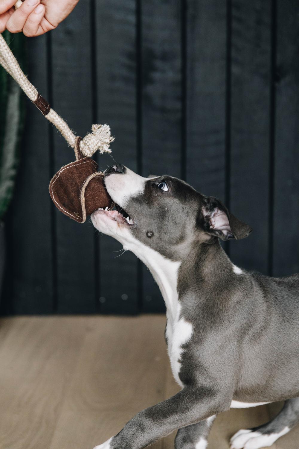 Dog Toy Cotton Rope Baseball
