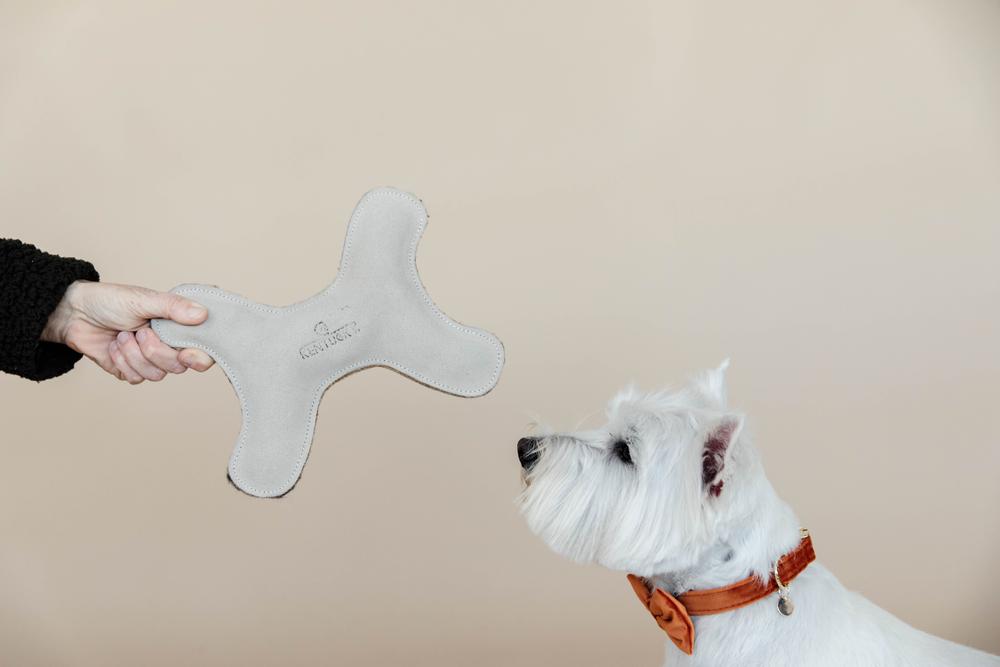 Hundespielzeug Pastell Knochen