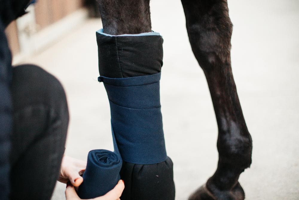 Magnet Bandagierunterlagen Recuptex 2er-Set - Kentucky Horsewear