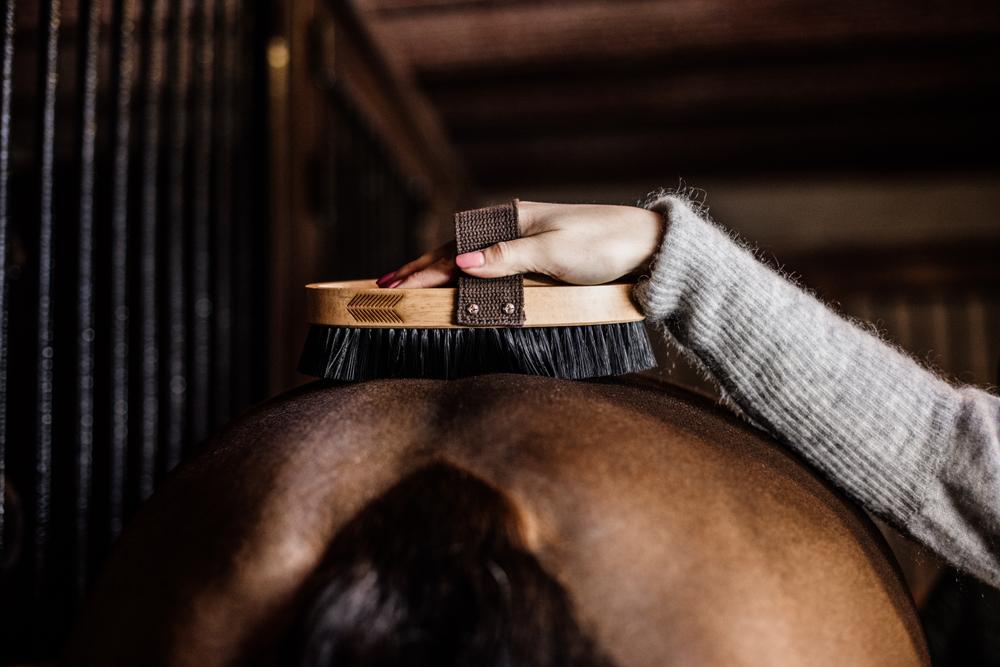 Overall Brush Hard - Grooming Deluxe