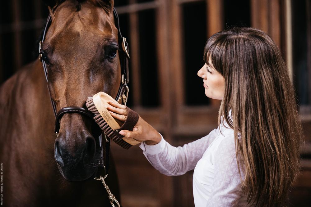 Overall Brush Soft - Grooming Deluxe