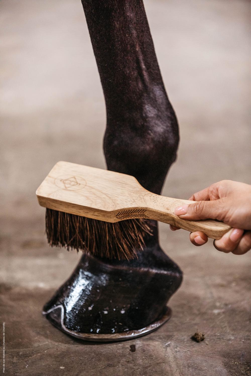 Hoof Brush - Grooming Deluxe