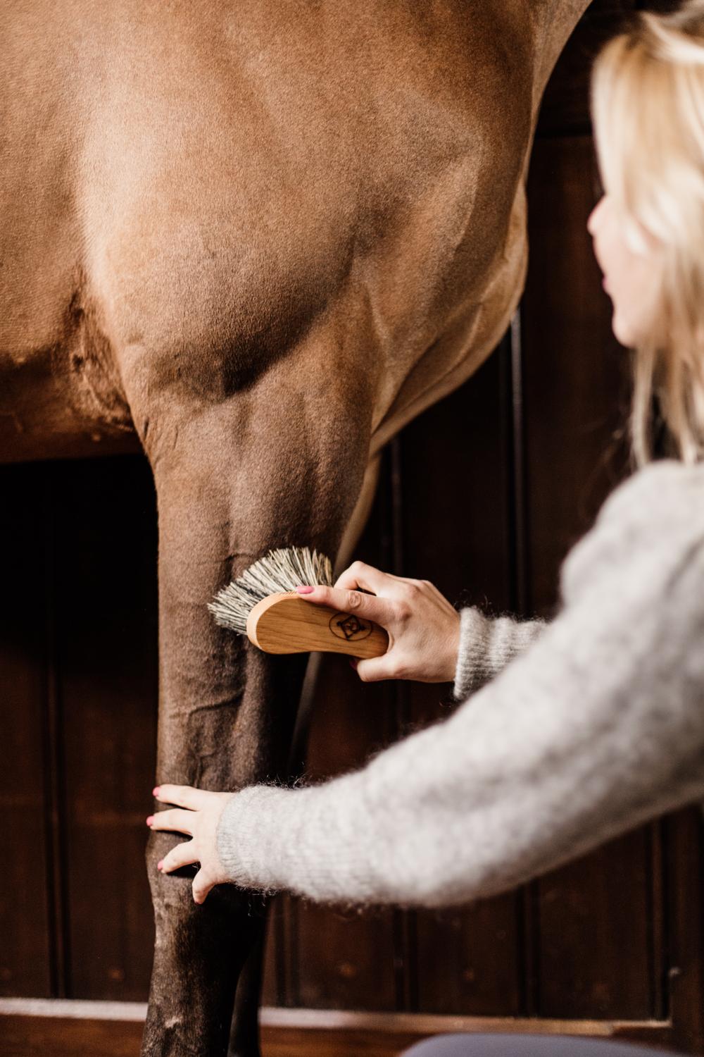Middle Hard Brush - Grooming Deluxe