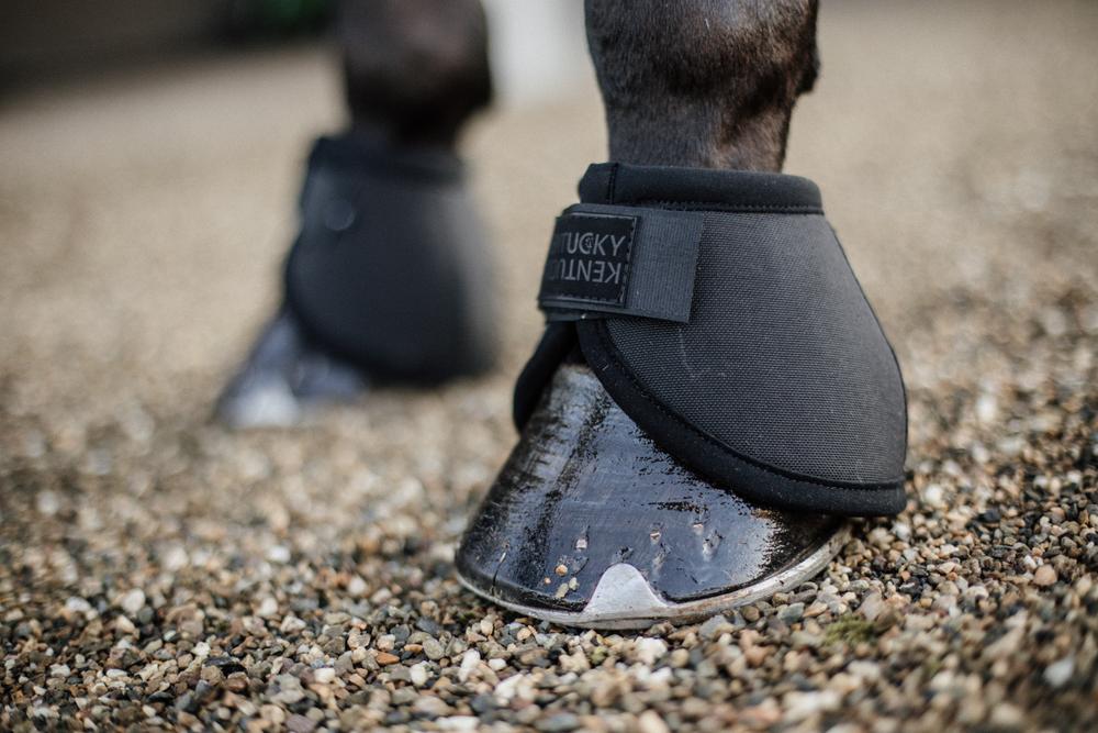 Sprungglocken Ballenschutz - Kentucky Horsewear