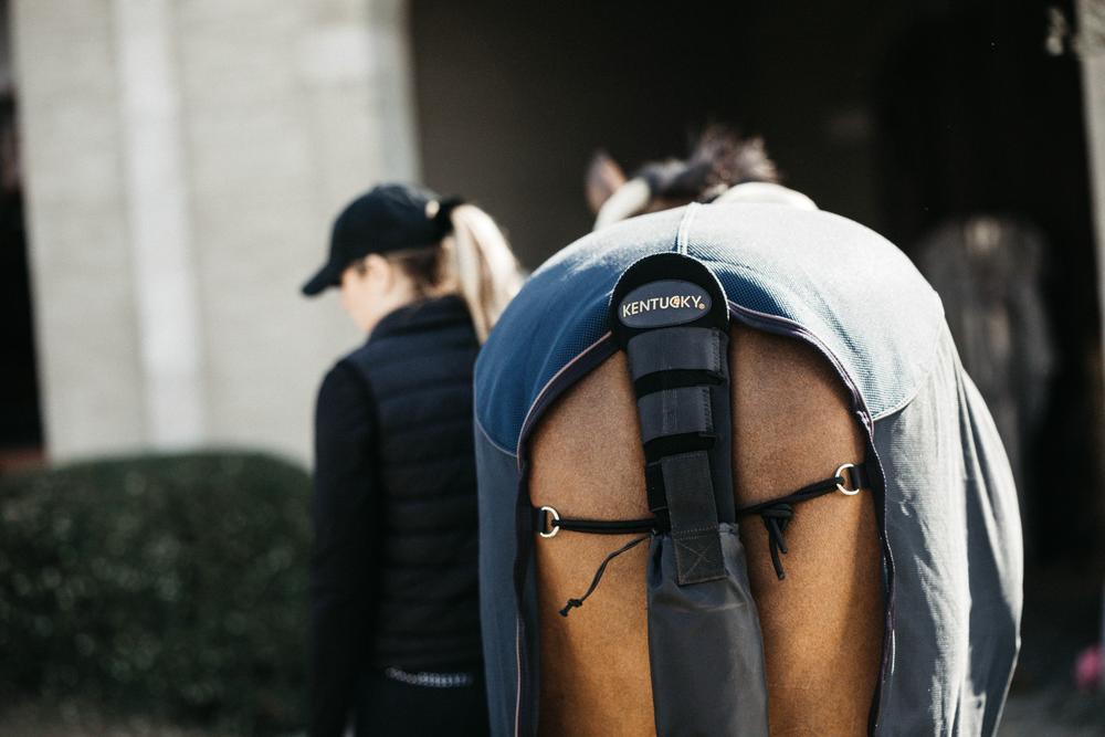 Schweifschoner & Schweiftasche - Kentucky Horsewear