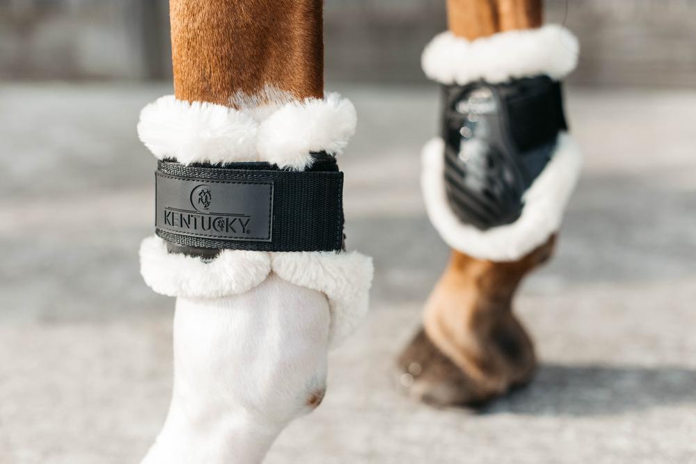 Schweifschoner & Schweiftasche - Kentucky Horsewear