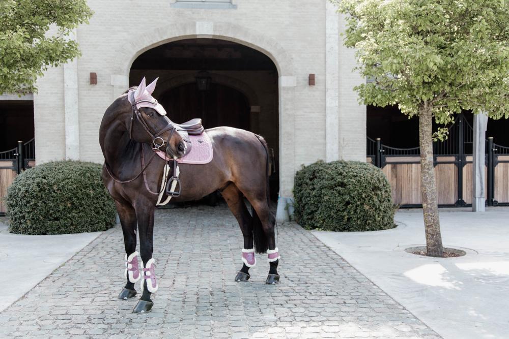 Streichkappe Young Horse - Kentucky Horsewear