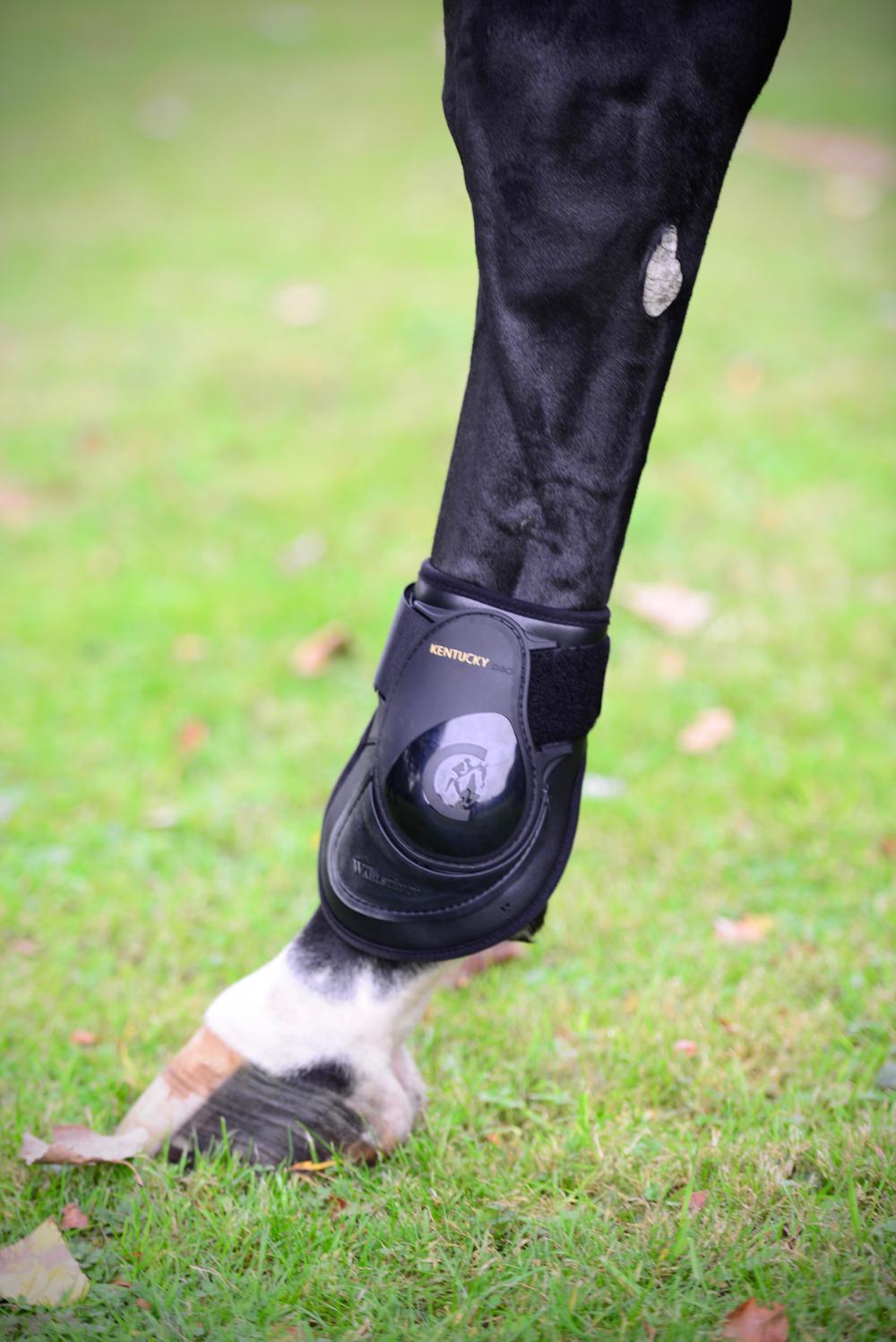 Streichkappe Deep - Kentucky Horsewear