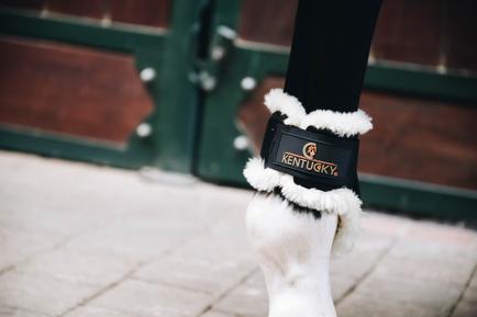 Streichkappe Young Horse