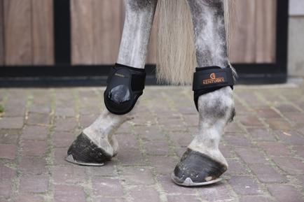 Streichkappe Young Horse - Kentucky Horsewear