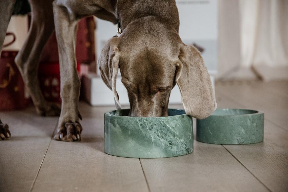 Futternapf Marmor - Kentucky Dogwear