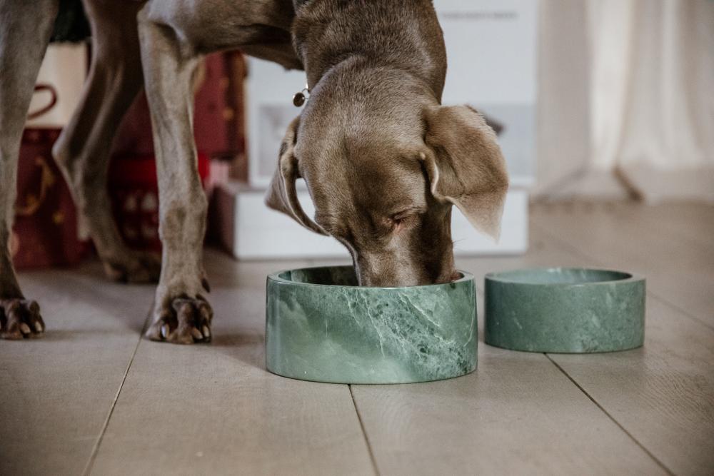 Futternapf Marmor - Kentucky Dogwear