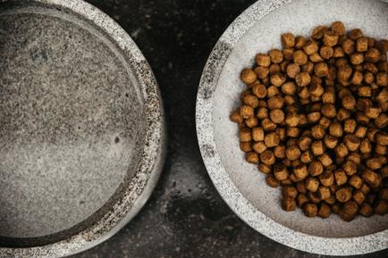 Futternapf Granit - Kentucky Dogwear