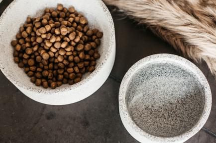 Futternapf Granit - Kentucky Dogwear