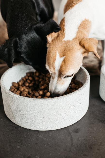 Futternapf Granit - Kentucky Dogwear