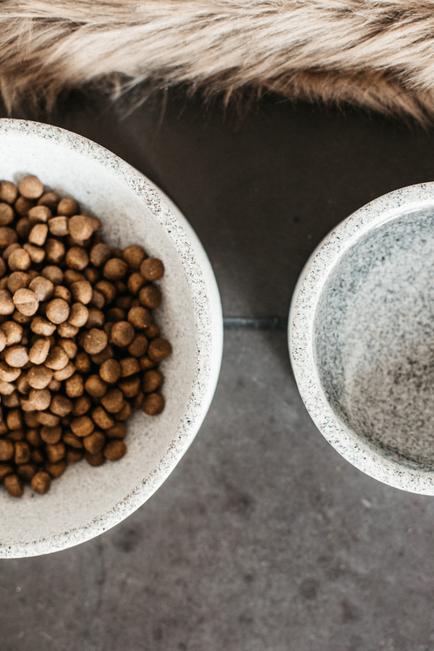 Futternapf Granit - Kentucky Dogwear