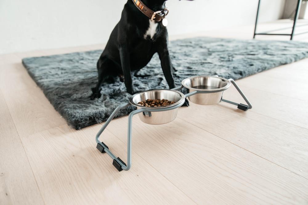 Futternapf Komfort - Kentucky Dogwear