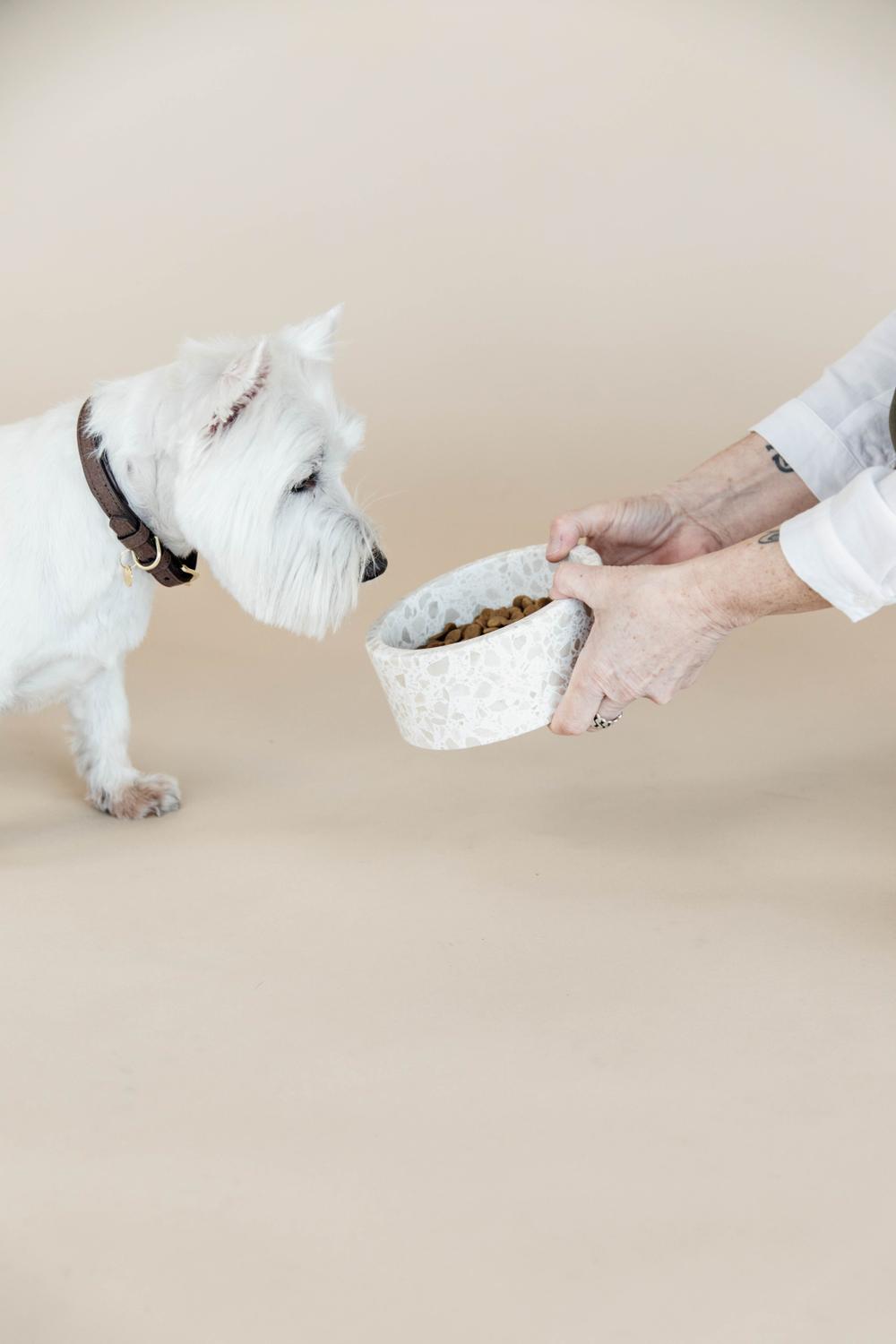 Schale Terrazzo Stein - Kentucky Dogwear