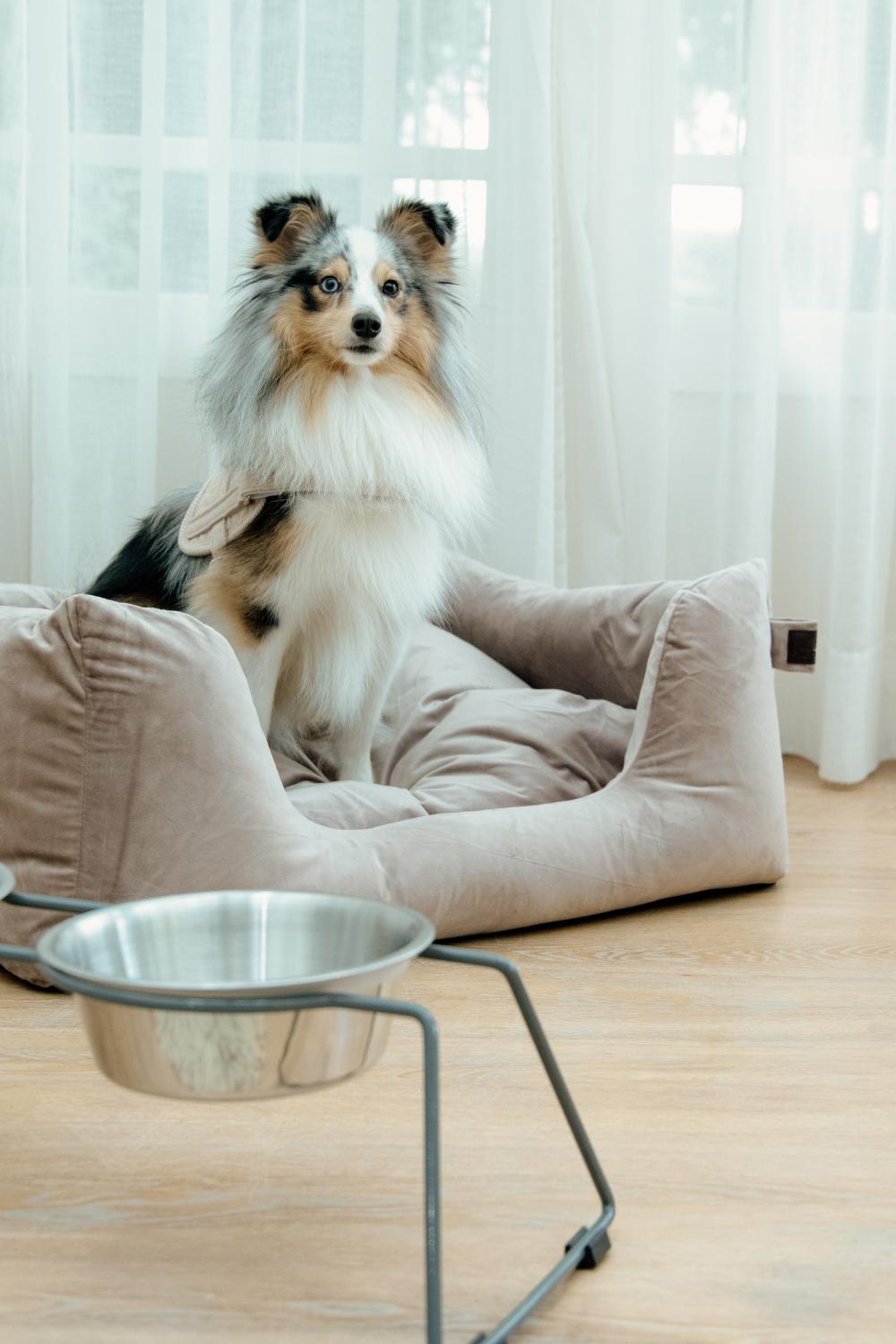 Futternapf Komfort - Kentucky Dogwear