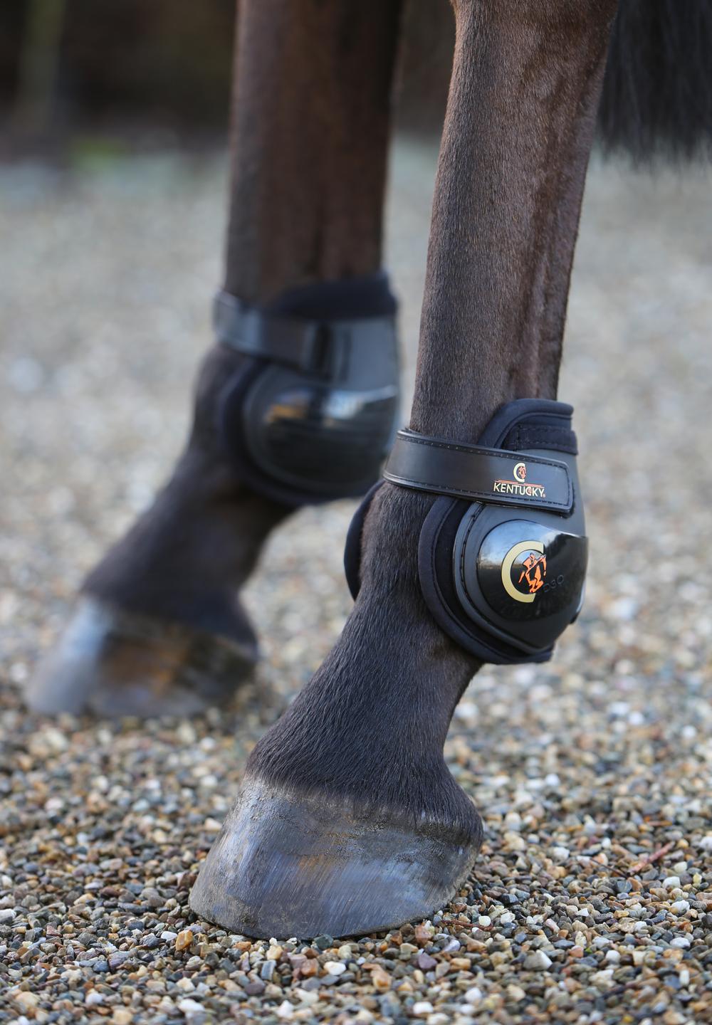 Streichkappe Moonboots - Kentucky Horsewear