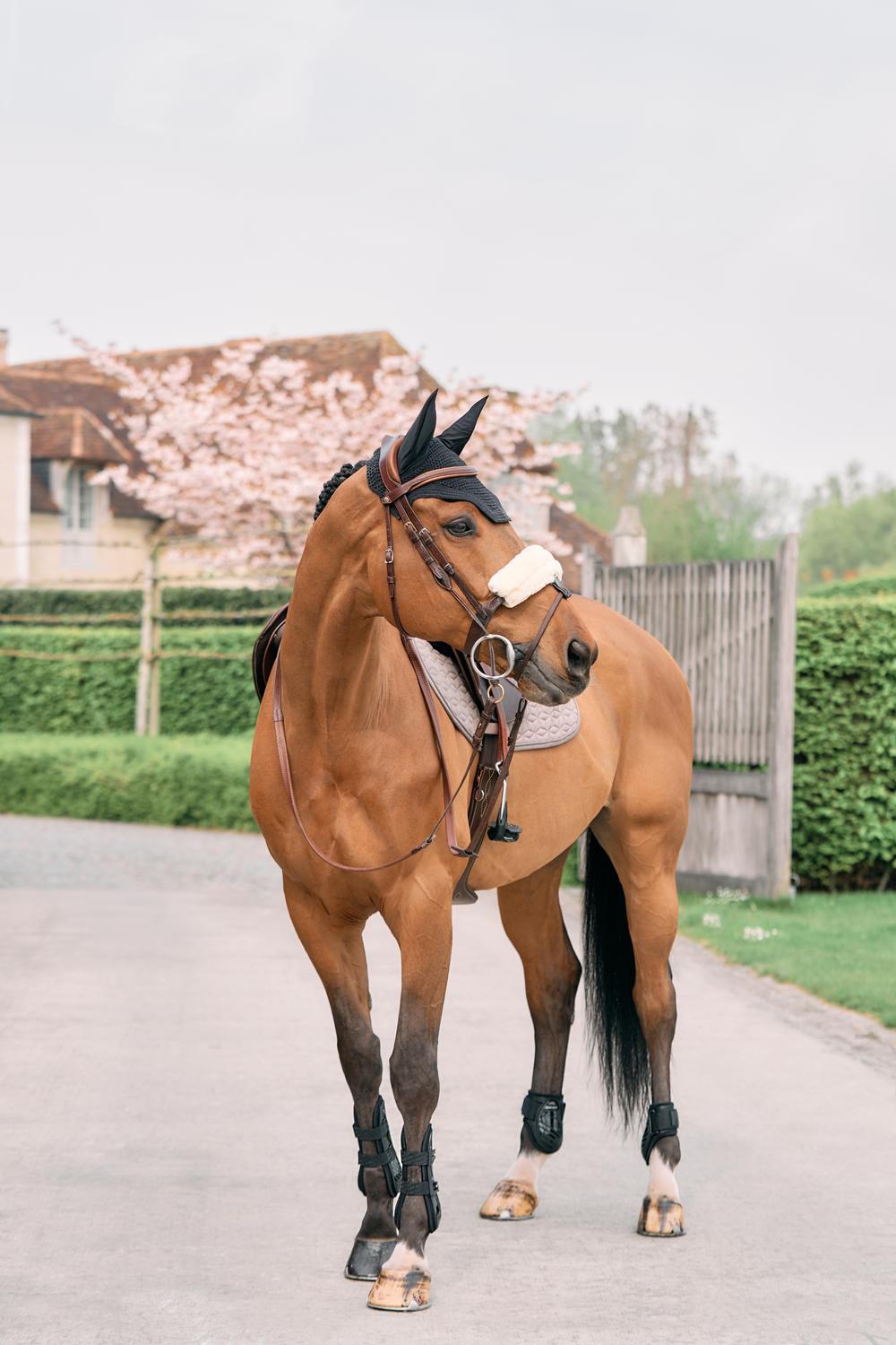 Lammfell Nasenriemenschoner - Kentucky Horsewear