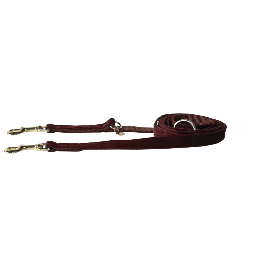 Hundeleine Velvet 200 cm - Kentucky Dogwear