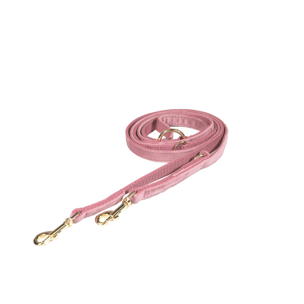 Hundeleine Velvet 200 cm - Kentucky Dogwear