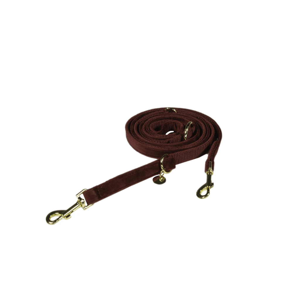 Hundeleine Velvet 200 cm - Kentucky Dogwear