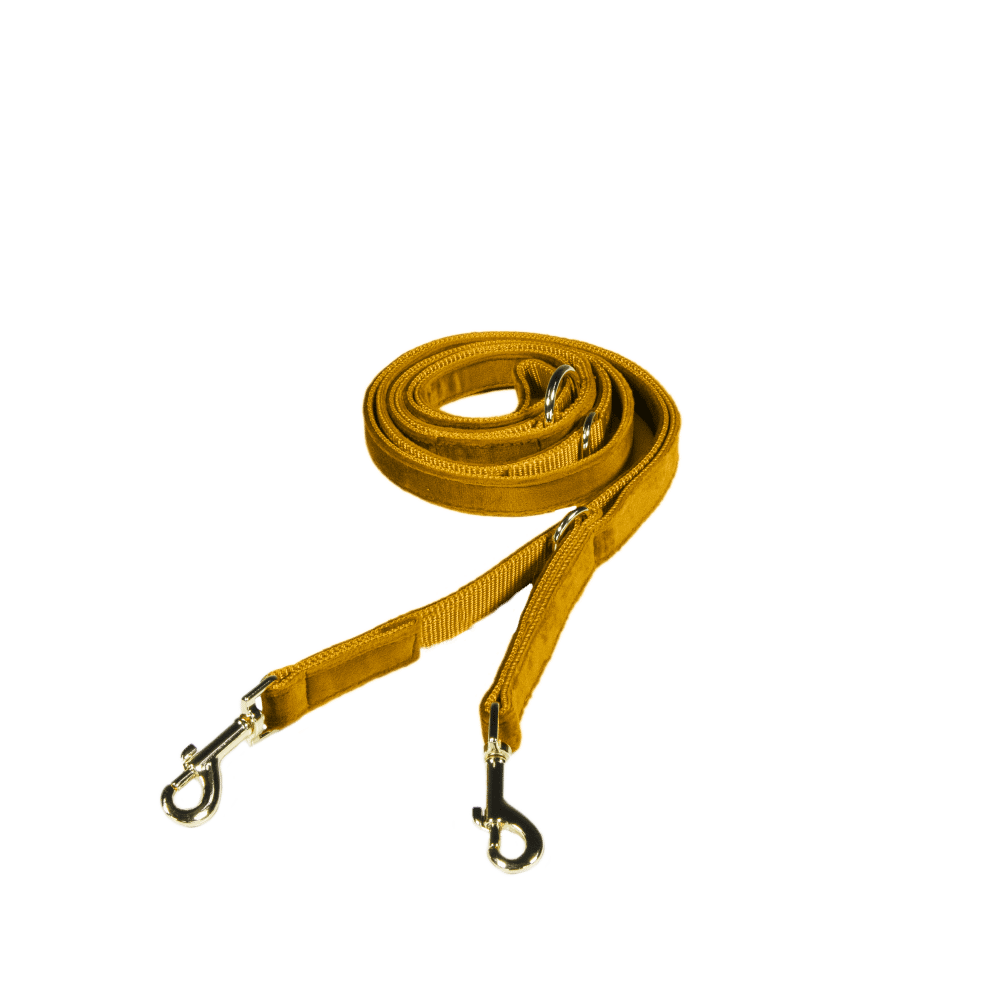 Hundeleine Velvet 200 cm - Kentucky Dogwear