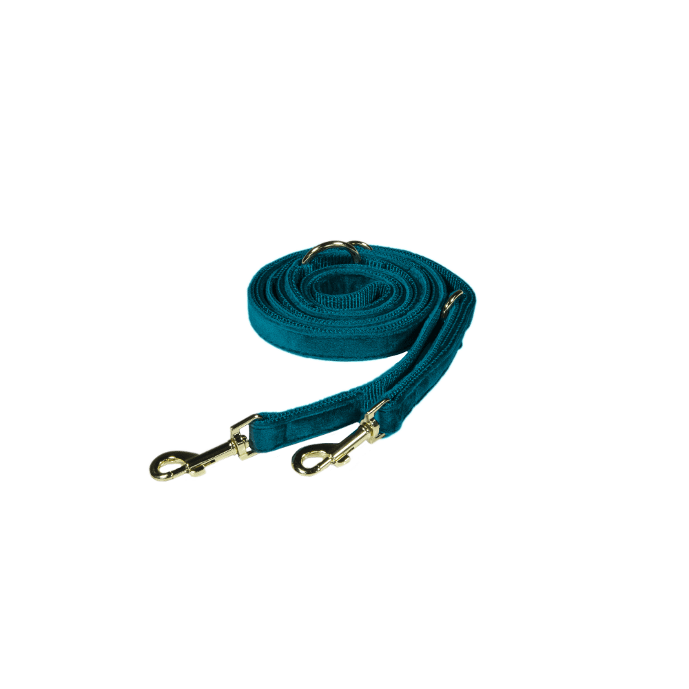 Hundeleine Velvet 200 cm - Kentucky Dogwear
