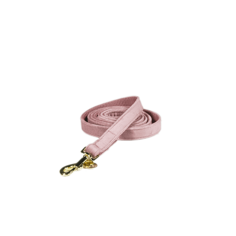 Hundeleine Velvet 120 cm - Kentucky Dogwear