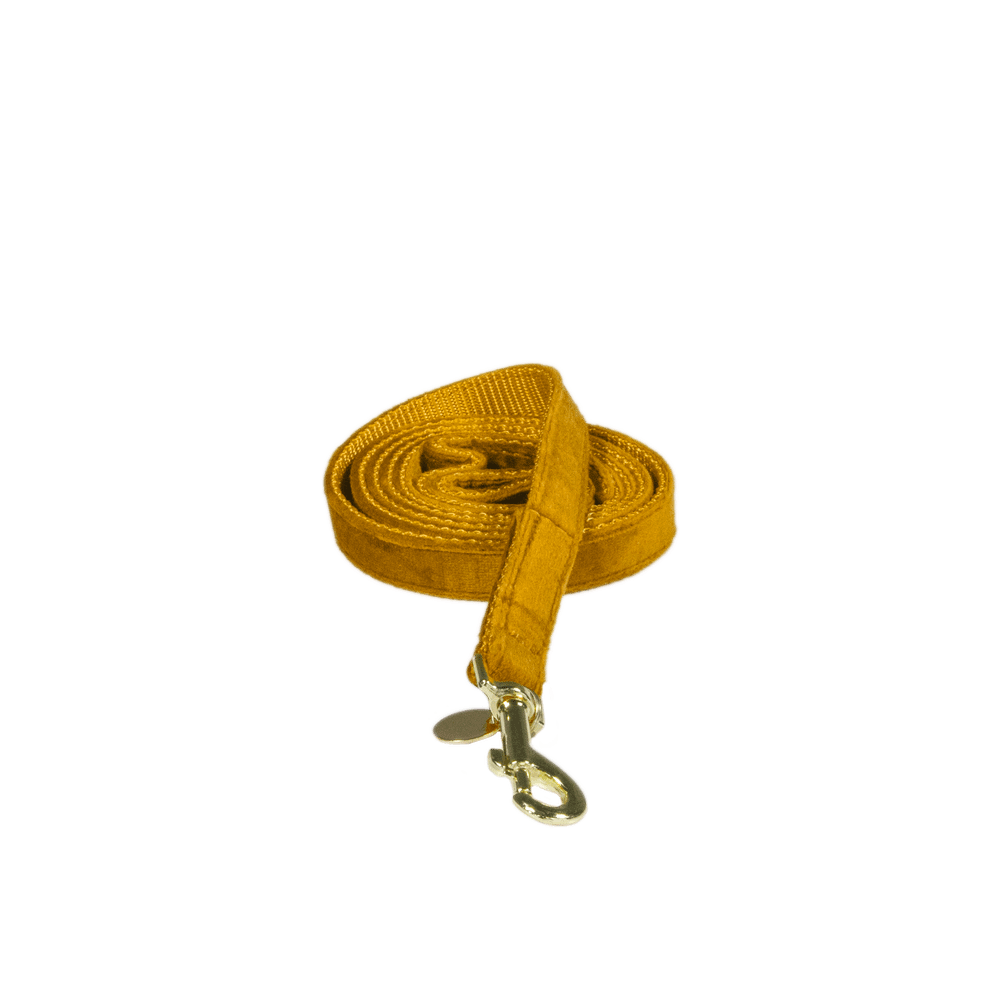 Hundeleine Velvet 120 cm - Kentucky Dogwear