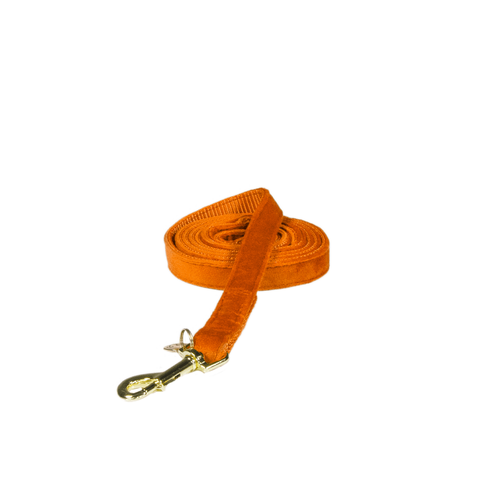 Hundeleine Velvet 120 cm - Kentucky Dogwear