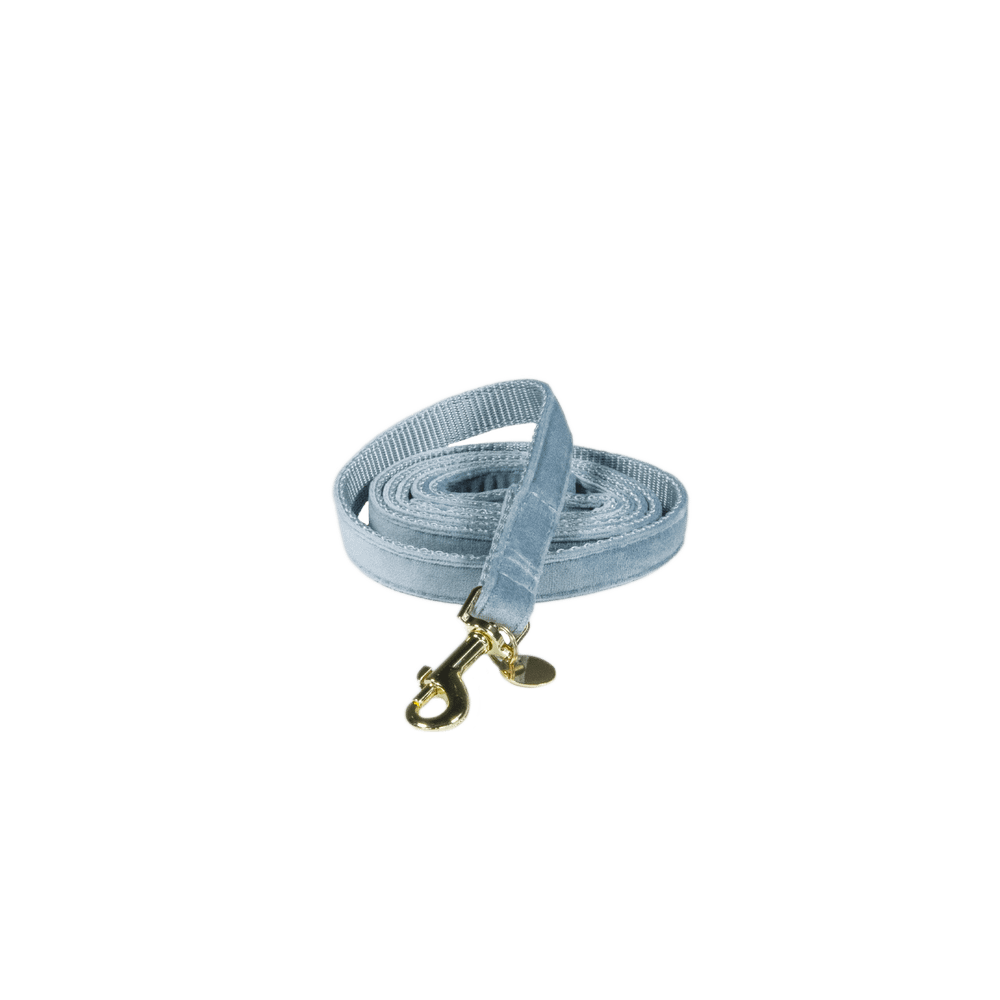 Hundeleine Velvet 120 cm - Kentucky Dogwear