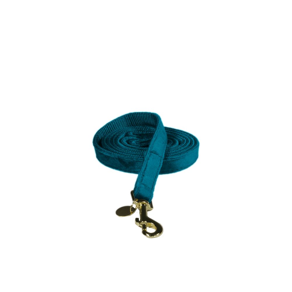 Hundeleine Velvet 120 cm - Kentucky Dogwear